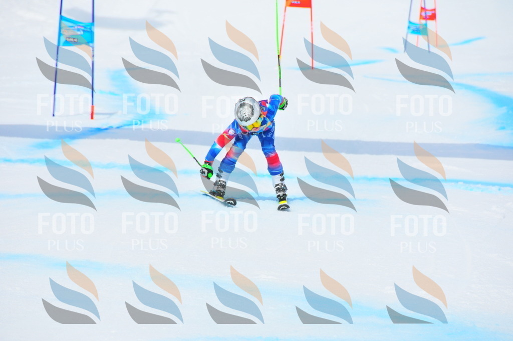 DSC_2615 | holidayphoto