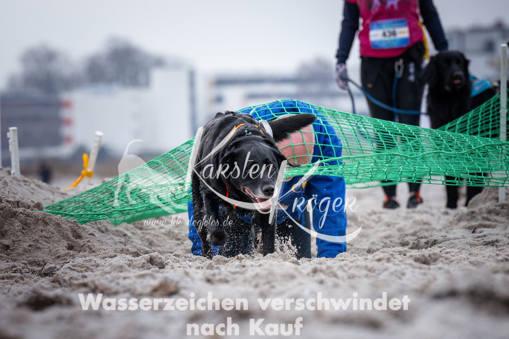 1217_ZZ93183 | kk-dogfotos