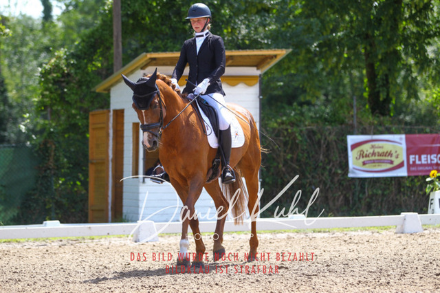 DKP42543 | Turniersportfotografie; Pferdefotografie; Dressurfotografie