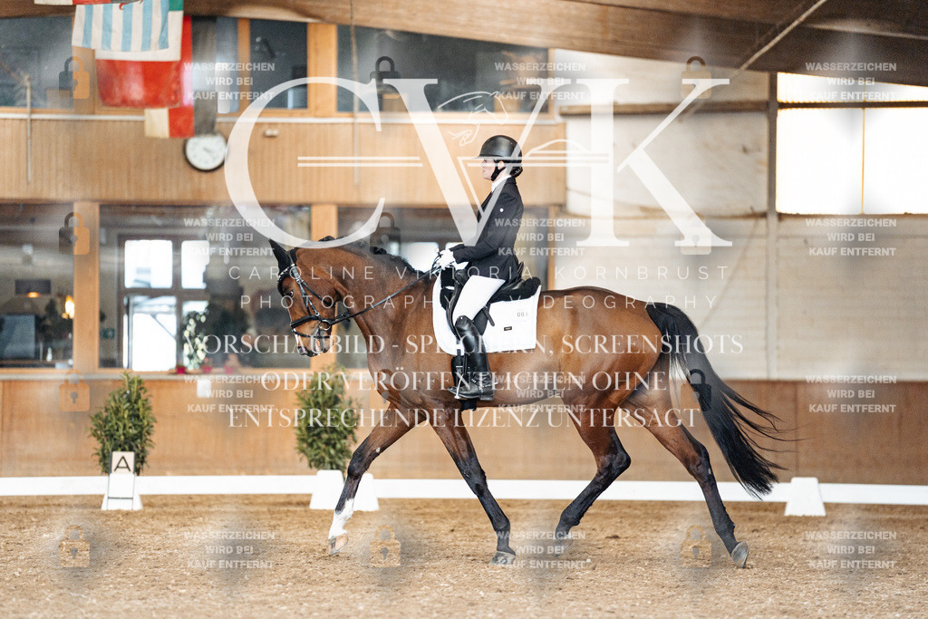 CK901771 | Turnierfotografie Pferdefotografie Trier Rheinland-Pfalz Pferdesport Reitsport Tierfotografie Sportfotografie Pferdevideo Pferdevideografie Equestrianvideography equestrianphotography  - Realisiert mit Pictrs.com