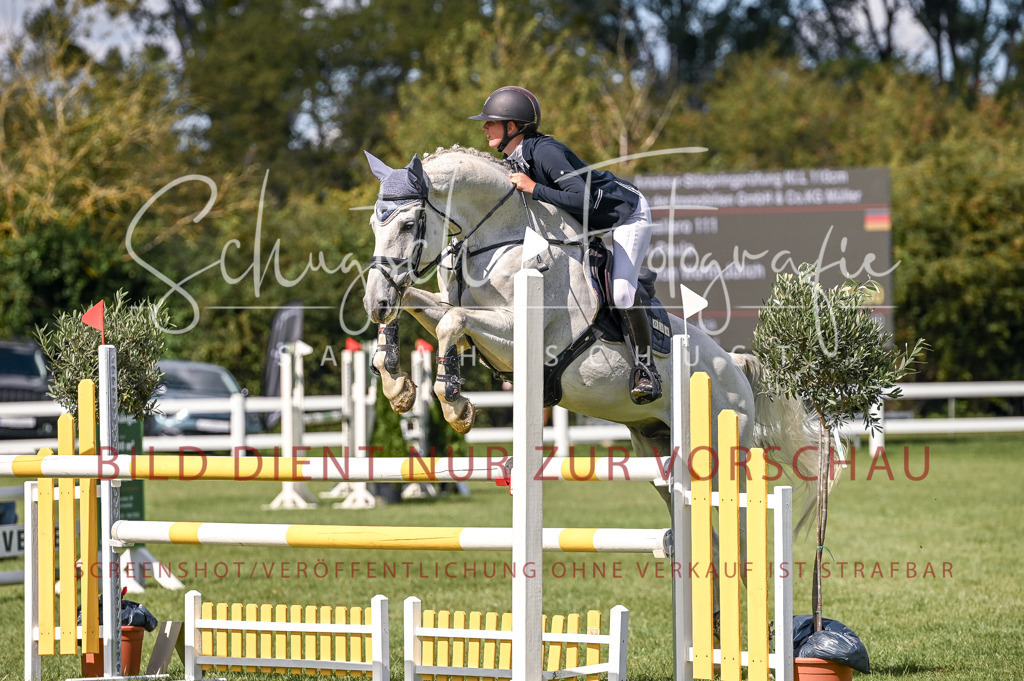 Schugtsche-Düren.2024-08.Amat.Springprf.L-116 | Schugtsche Fotografie - Realisiert mit Pictrs.com