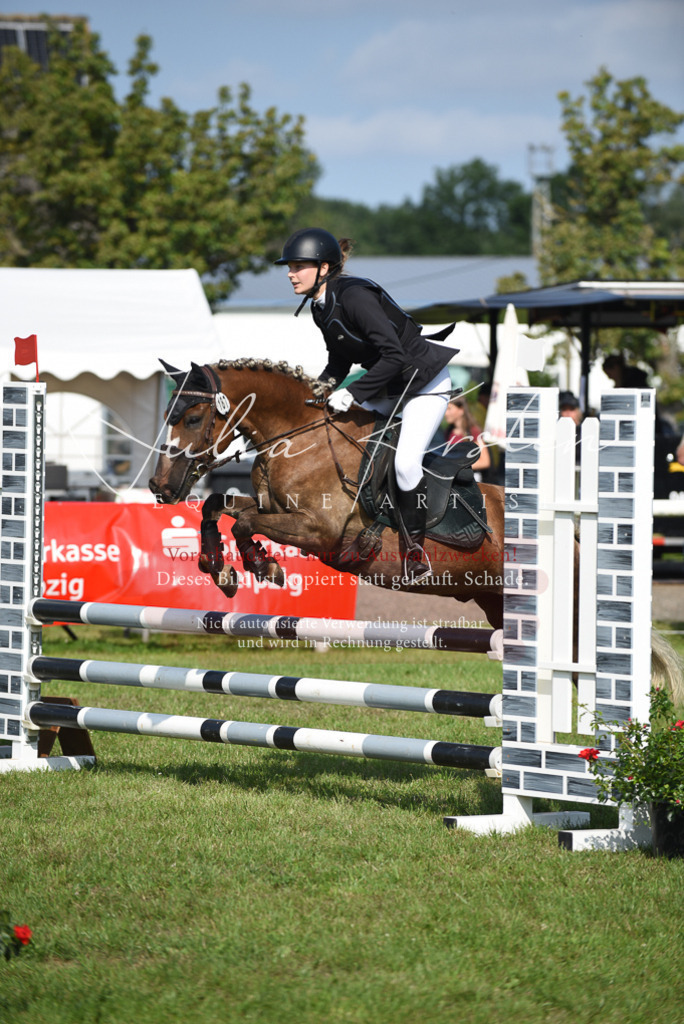DSC_8951 | Pferde- und Turnierfotografie in Westsachsen. Pferdeportraits, Auftragszeichnungen und intuitive Kunst.