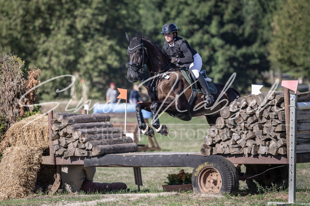 20260906-_3LI2090 | Tierfotografie Pferde, Hunde, Katzen, Haustiere.
Turnierfotografie Reitturniere, Reiten, Springreiten, Dressur in Hanau, dem Main-Kinzig-Kreis und dem Rhein-Main- Gebiet um Frankfurt