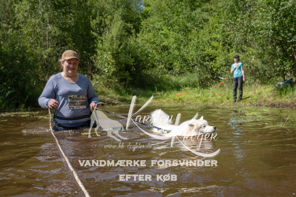 1518DKK992932 | kk-dogfotos