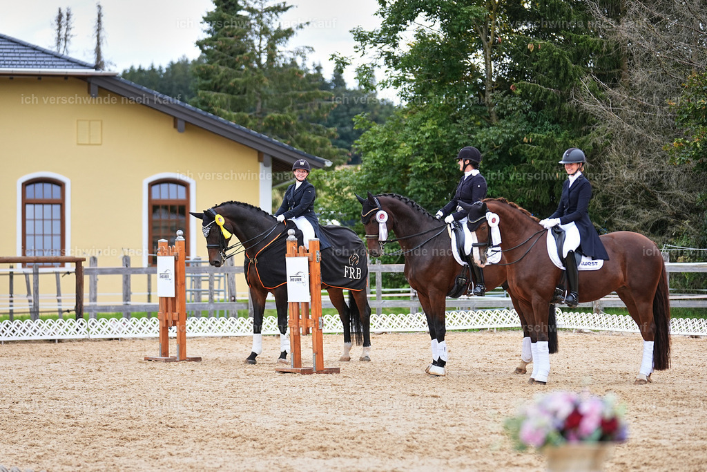 6-Siegerehrung-AMATUER-DRESSUR S_  -Marixx-3667 | working equitationturnier fotograf videograf stoibphotography marixx film working equitation deutschland reitsport turnierfotografie eventfotografie equestrian events