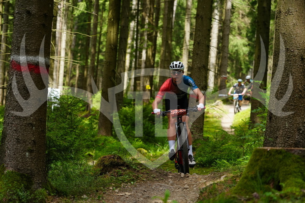 FC100476 | Fotogalerie der Treibjagd im Dunkelwald - Dein MTB Etappenrennen im Erzgebirge - Realisiert mit Pictrs.com