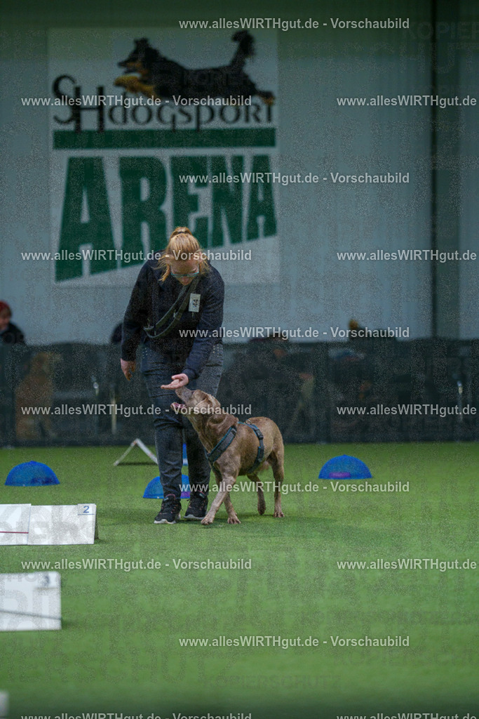 7R501275 | Professionelle Tierfotografie in Mönchengladbach von Daniel Wirth (allesWIRTHgut). Liebevolle & natürliche Bilder von Hunden & Katzen für unvergessliche Erinnerungen.