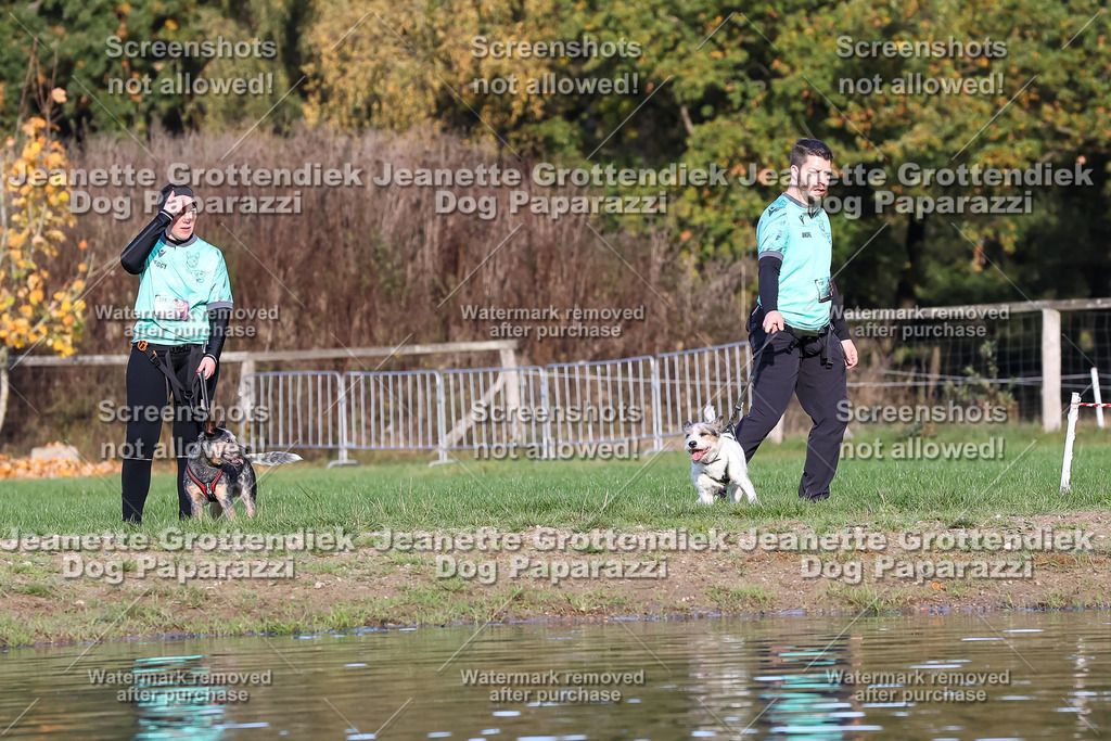 Dog Paparazzi - Strongdog 10-25-8615 | Dog Paparazzi Jeanette Grottendiek Fotografie & Videografie - Realisiert mit Pictrs.com