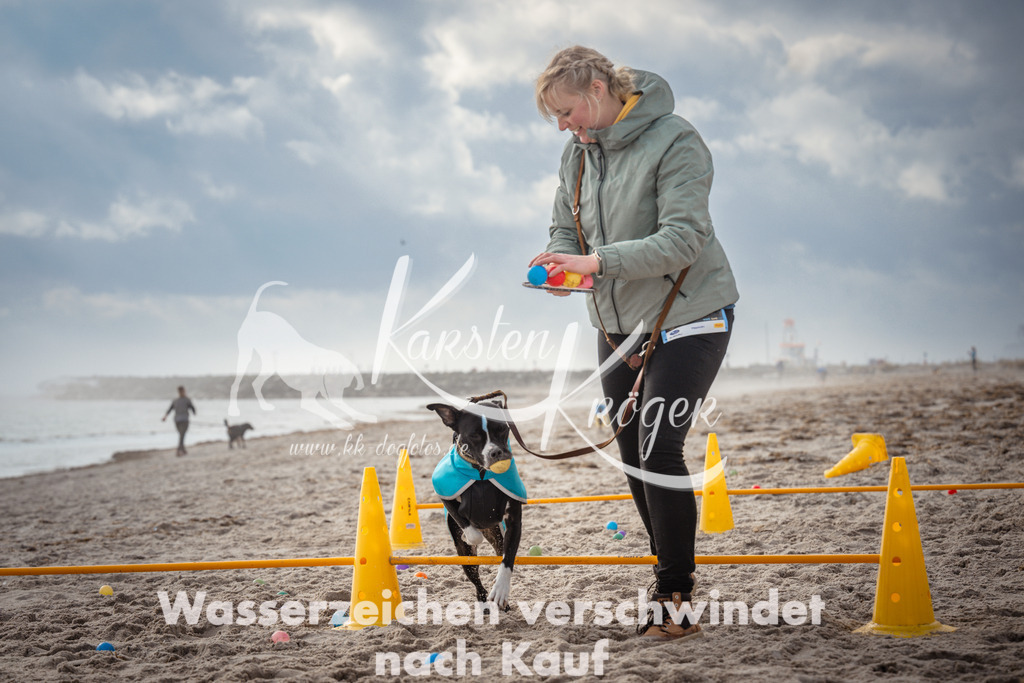 1200_ZZ93413 | kk-dogfotos