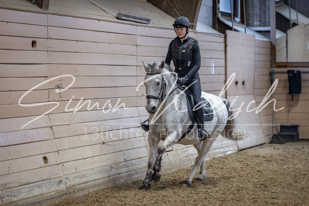 20260221-_3LI9483 | Tierfotografie Pferde, Hunde, Katzen, Haustiere.
Turnierfotografie Reitturniere, Reiten, Springreiten, Dressur in Hanau, dem Main-Kinzig-Kreis und dem Rhein-Main- Gebiet um Frankfurt