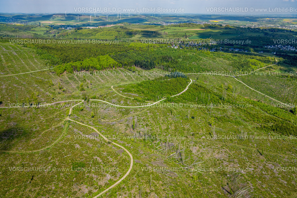 Brilon240503878 | Luftbild, Waldgebiet mit Waldschäden Kalamitätsflächen, östliches Waldgebiet des Flusses Hoppecke bei Brilon-Wald, Brilon, Sauerland, Nordrhein-Westfalen, Deutschland