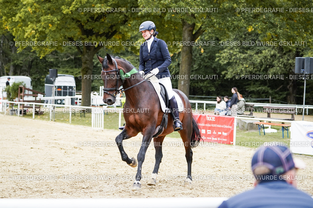 DSC02503 | Pferdegrafie