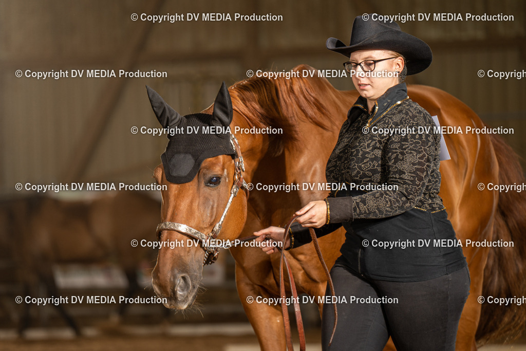 NID02343 | dv-media-shop - Realisiert mit Pictrs.com