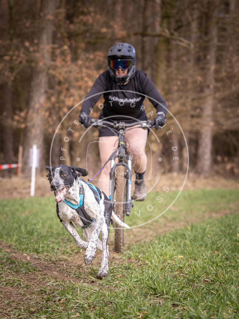 DV3A6168 | Hundefotografie, Tierfotograf, Pfotenfotografie, Fotoshooting Hund, Hunde Portrait, Hundesport, Hundeportraits, Heideshooting, Hunde, Sportfotograf, Hundefotograf, Turnierhundsport, THS,  - Realisiert mit Pictrs.com