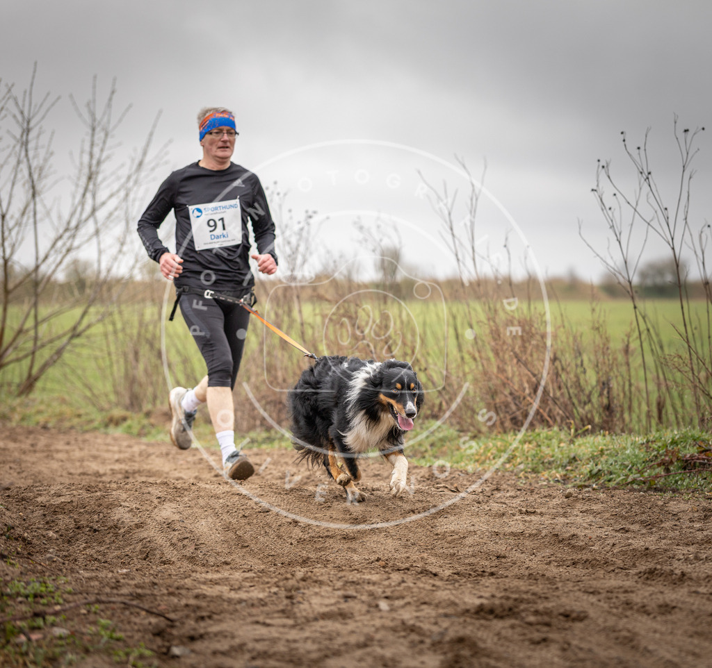 DV3A9995 | Hundefotografie, Tierfotograf, Pfotenfotografie, Fotoshooting Hund, Hunde Portrait, Hundesport, Hundeportraits, Heideshooting, Hunde, Sportfotograf, Hundefotograf, Turnierhundsport, THS,  - Realisiert mit Pictrs.com
