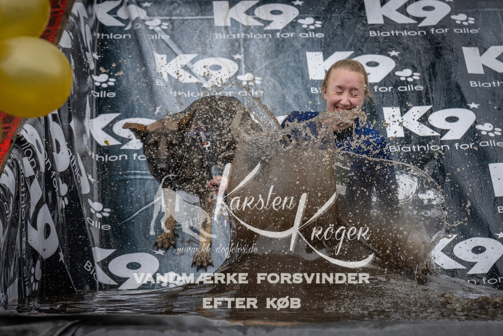 1119_ZZ92594 | kk-dogfotos