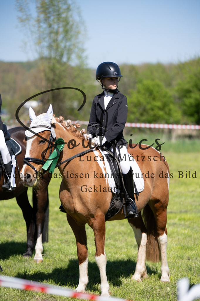 A7V01367 | Pferdefotograf