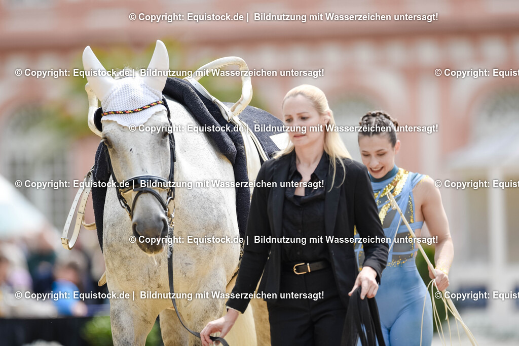 20250608_CVI-Masterclass_0150 | Foto: Thomas Hartig