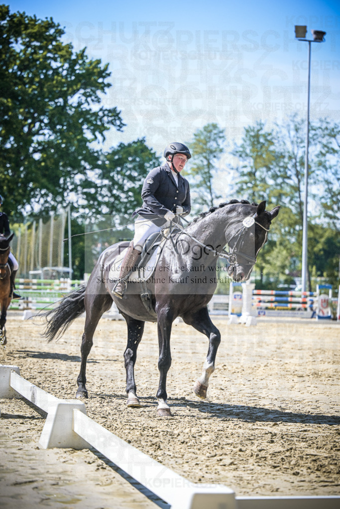DOS_0917 | Entdecke hochwertige Reitturnierfotos von Foto Oger. Professionell, emotional und authentisch – jetzt Lieblingsmomente im Shop bestellen.Deutschlandweite Turnierfotografie. - Realisiert mit Pictrs.com