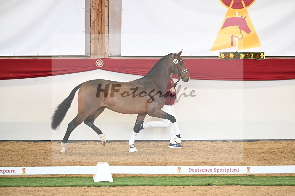 Kat.-Nr. 67 v. Fürstenball_Niehe_2250532 | hf-fotografie - Realisiert mit Pictrs.com