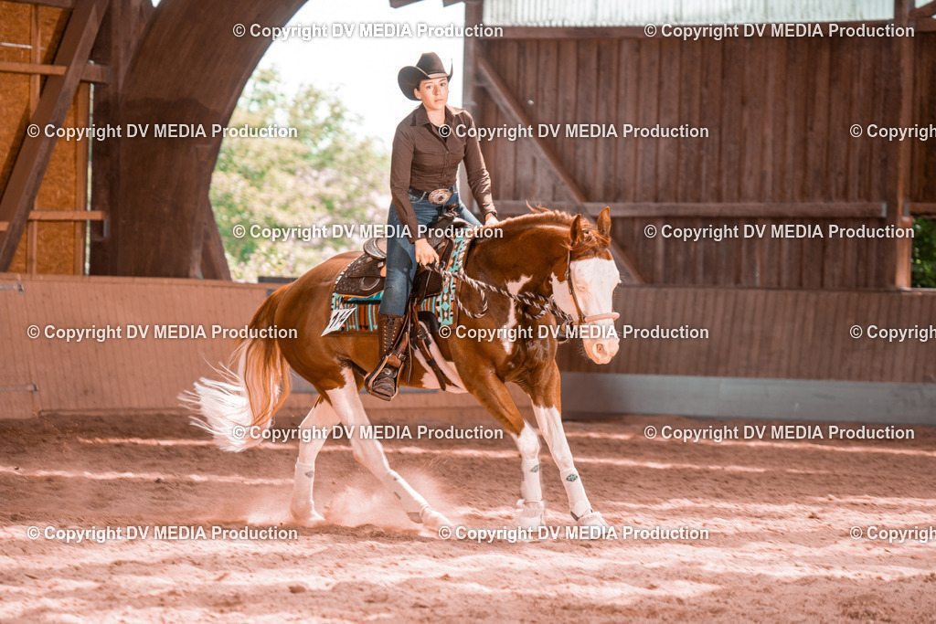 NE300588 | dv-media-shop - Realisiert mit Pictrs.com