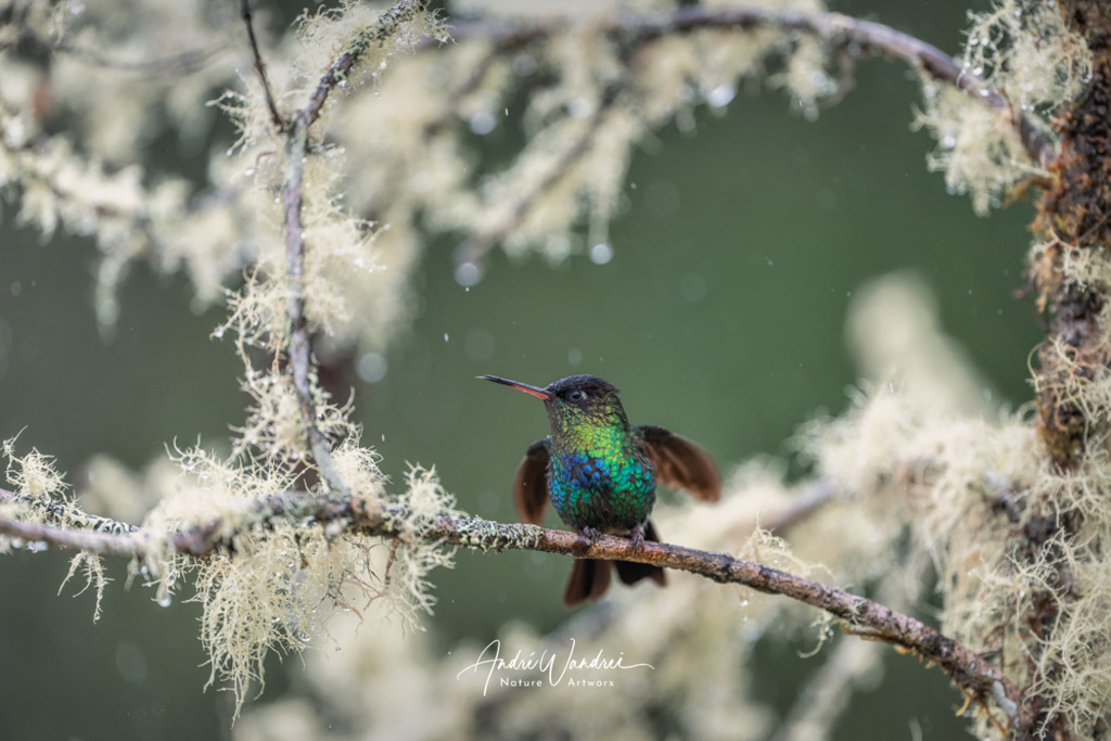 Farben aus einer anderen Welt | Andre Wandrei - Nature Artworx - Realisiert mit Pictrs.com