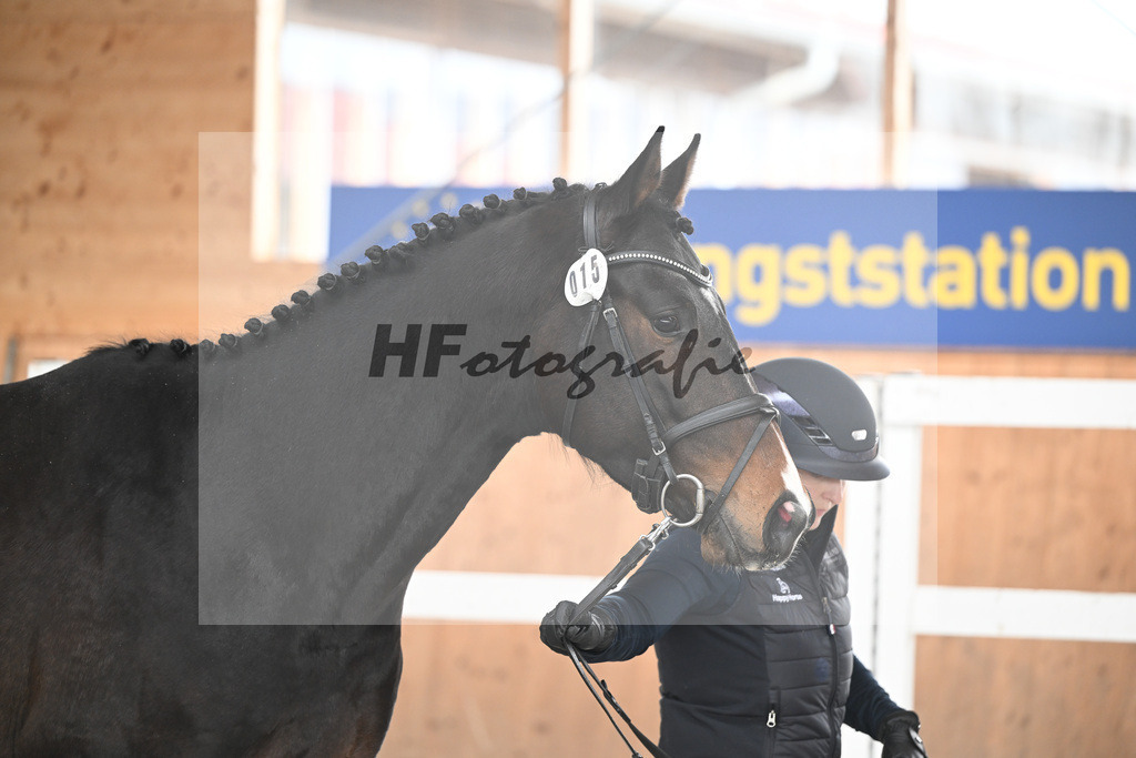 Kat-Nr. 15 Octopus v. Ostinato XX_Bray_14260711 | hf-fotografie - Realisiert mit Pictrs.com