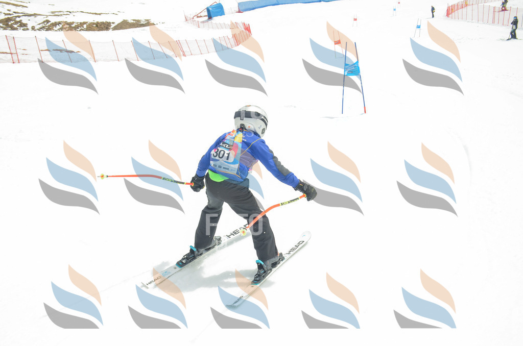 _ELE8253 | holidayphoto