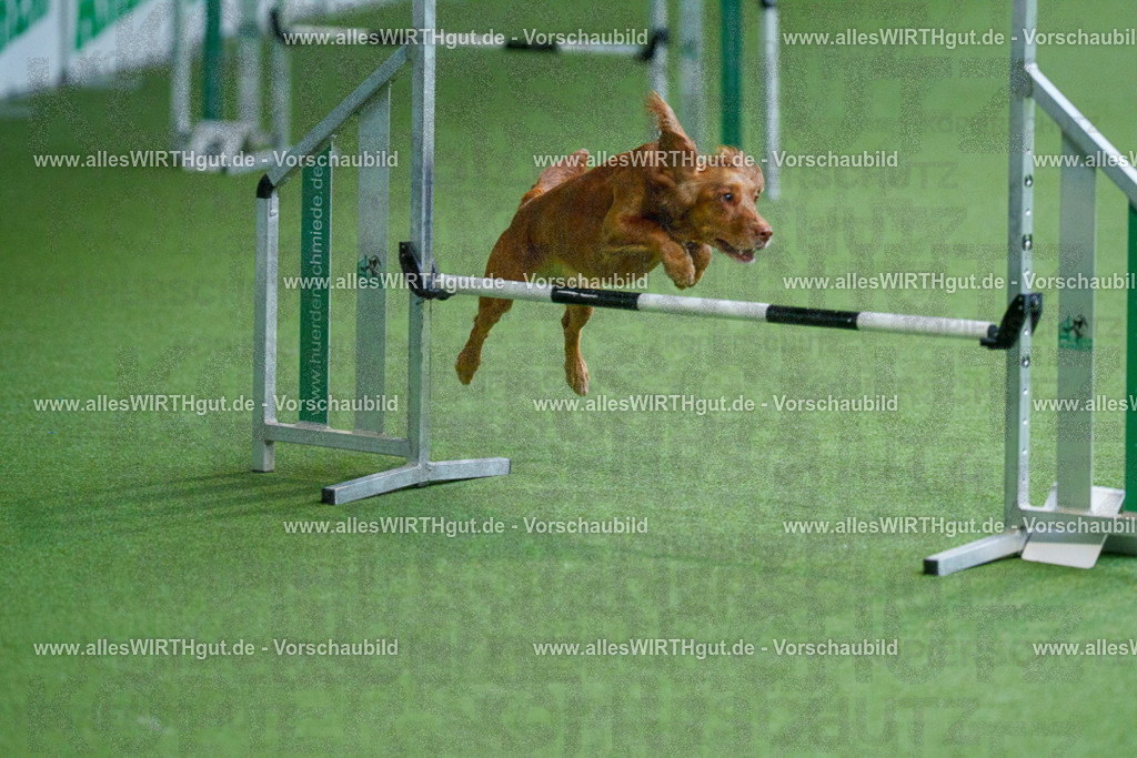 @allesWIRTHgut_Tierfotografie - www.allesWIRTHgut.de - 2604251117-7R500119 | Professionelle Tierfotografie in Mönchengladbach von Daniel Wirth (allesWIRTHgut). Liebevolle & natürliche Bilder von Hunden & Katzen für unvergessliche Erinnerungen.