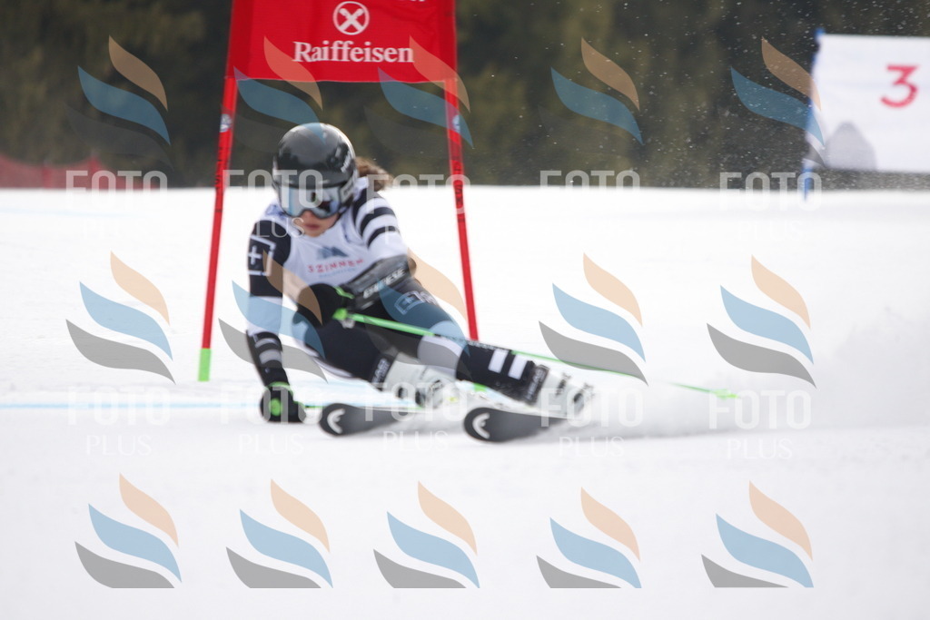 D4782 | holidayphoto