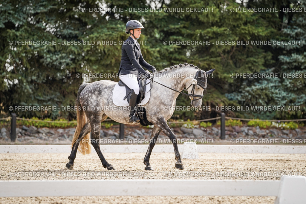 DSC07732 | Pferdegrafie