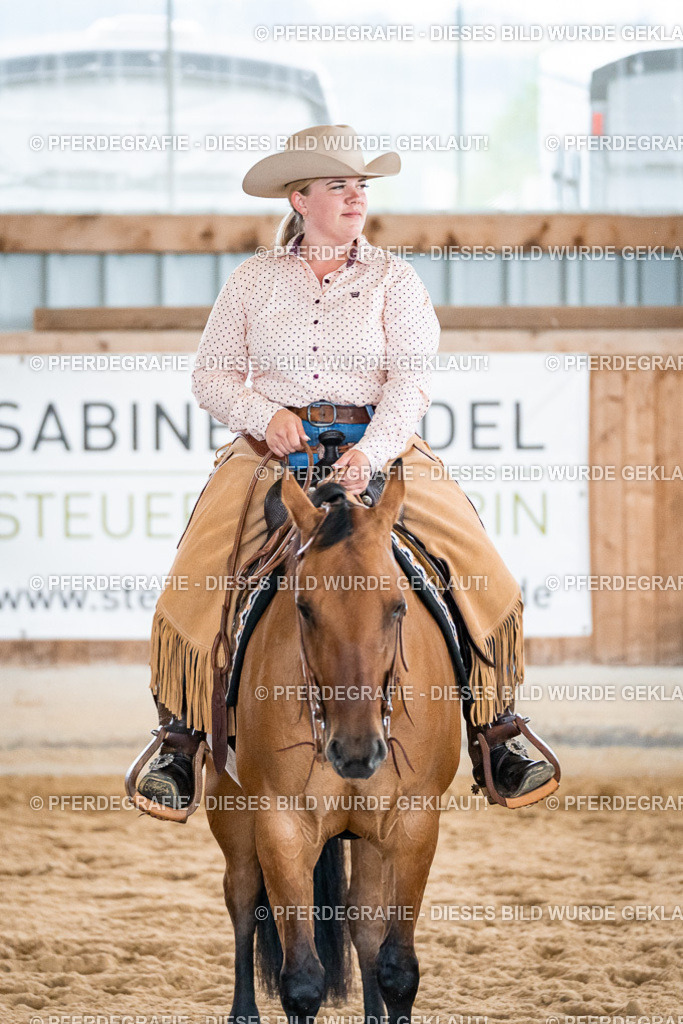 DSC00472 | Pferdegrafie