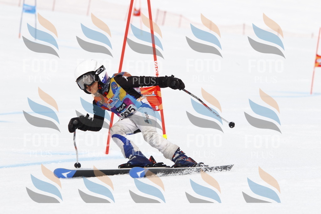 _U3G7371 | holidayphoto