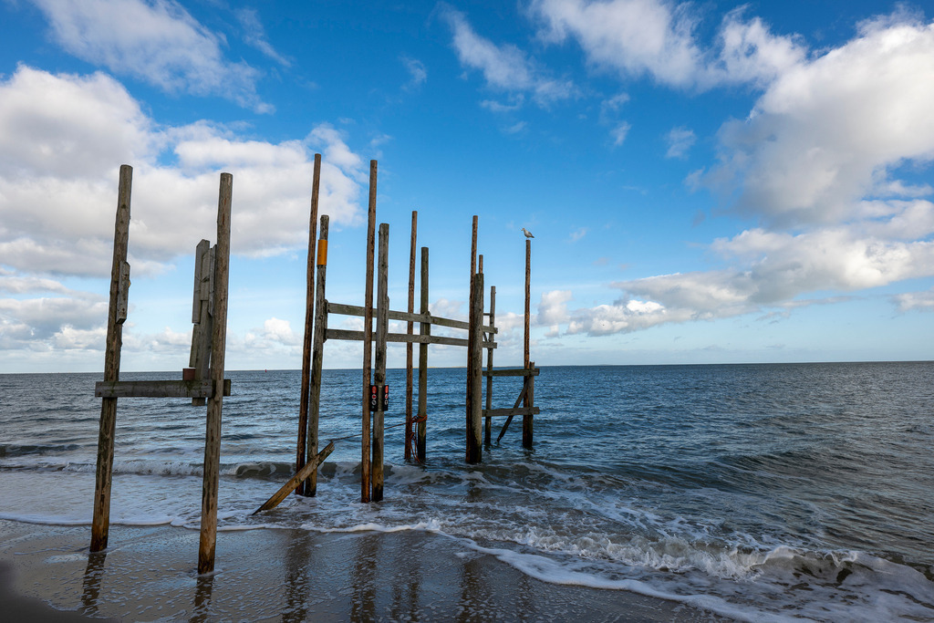 Stille Einsamkeit an Texels Winterküste | Ein Hauch von klarem Winterlicht liegt über dem Strand der Nordseeinsel Texel. Die verwitterten Holzpfähle einer alten Steganlage trotzen stoisch den kühlen Wellen, während hoch oben eine einzelne Möwe den endlosen Horizont überschaut. Der tiefblaue Himmel, durchzogen von sanften Schäfchenwolken, verleiht der Szene eine erhabene Weite. Die frische, kühle Meeresluft und das sanfte Rauschen der Brandung erzeugen eine wohltuende Ruhe – ein berührendes Motiv voller Melancholie, Kraft und zeitloser Küstenromantik. - Realisiert mit Pictrs.com