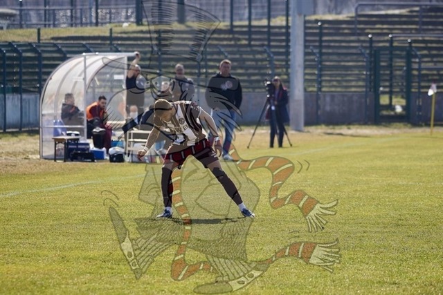 BFC Dynamo vs. FSV 63 Luckenwalde 095 | mythos-online-redaktion