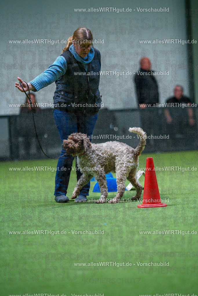 7R503039 | Professionelle Tierfotografie in Mönchengladbach von Daniel Wirth (allesWIRTHgut). Liebevolle & natürliche Bilder von Hunden & Katzen für unvergessliche Erinnerungen.