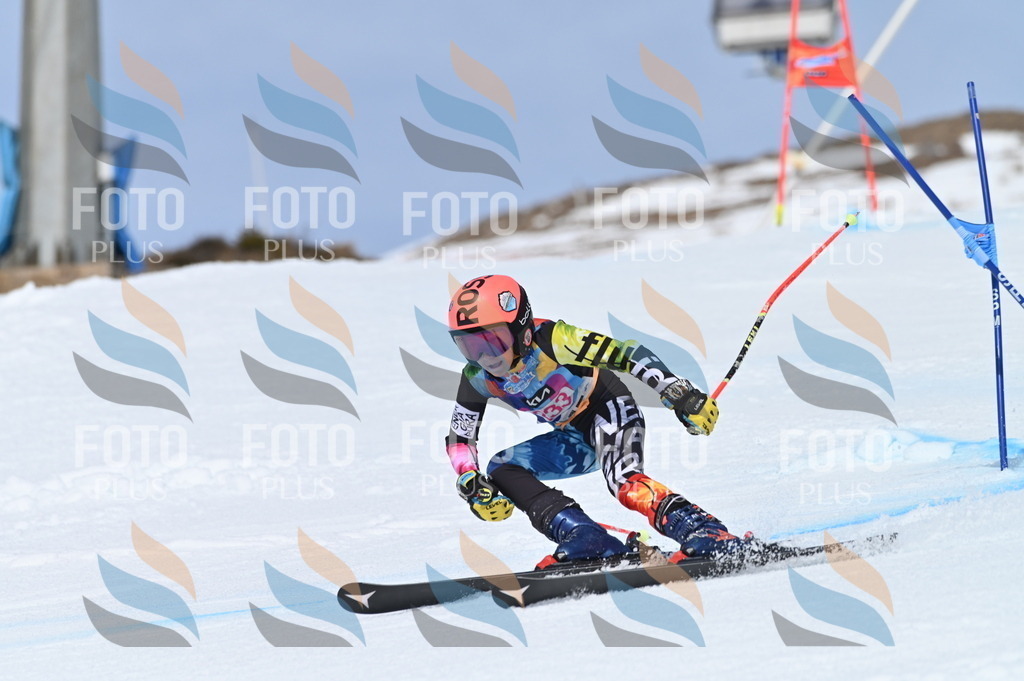 BGV_1562 | holidayphoto