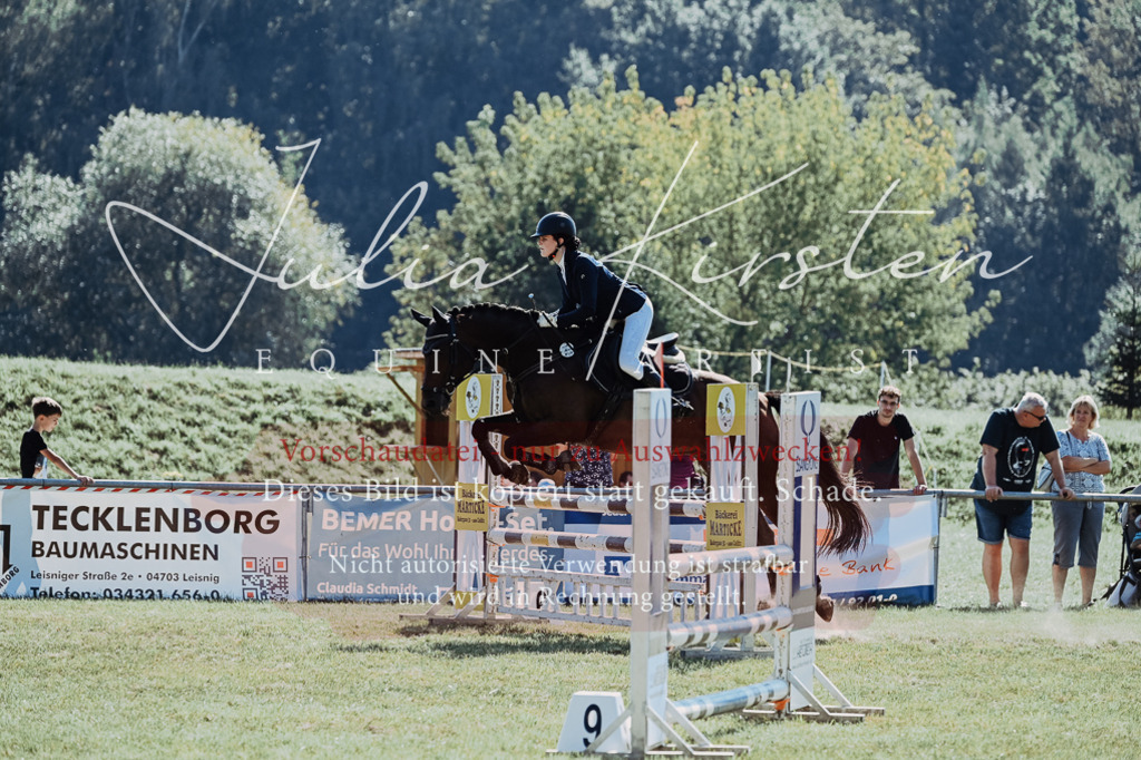 DSC_5877 | Pferde- und Turnierfotografie in Westsachsen. Pferdeportraits, Auftragszeichnungen und intuitive Kunst.