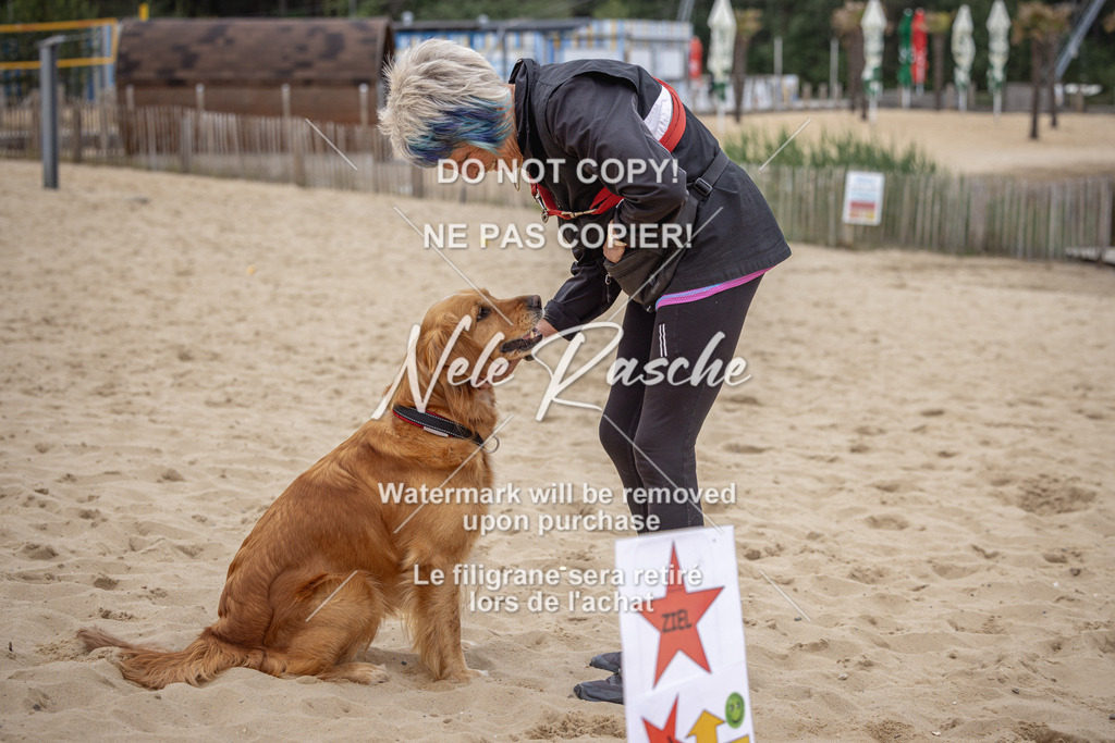 nelerasche_BuHu2026_So10-11_111 | nelerasche