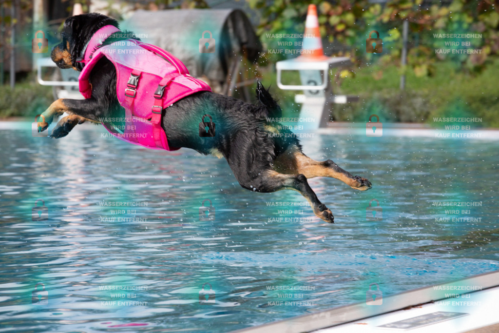 _HP_7606_1000o | HetPix, HetPix Fotodesign, Fotografie, Fotodesign, Webshop, Sportfotografie, Portraitfotografie, Onlineshop, Sportfotografie, Polch, Motorsportfotografie, Eventfotografie