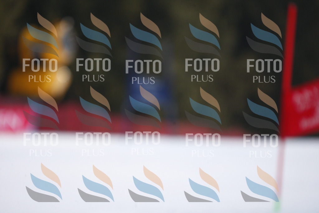 D8237 | holidayphoto