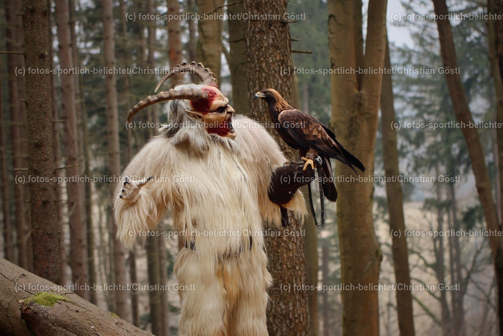 IMG_1580 | fotos-sportlich-belichtet - Realized with Pictrs.com