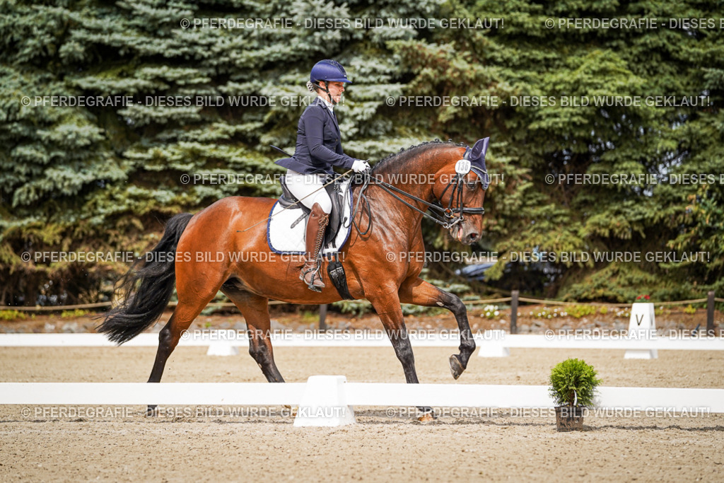 DSC05211 | Pferdegrafie