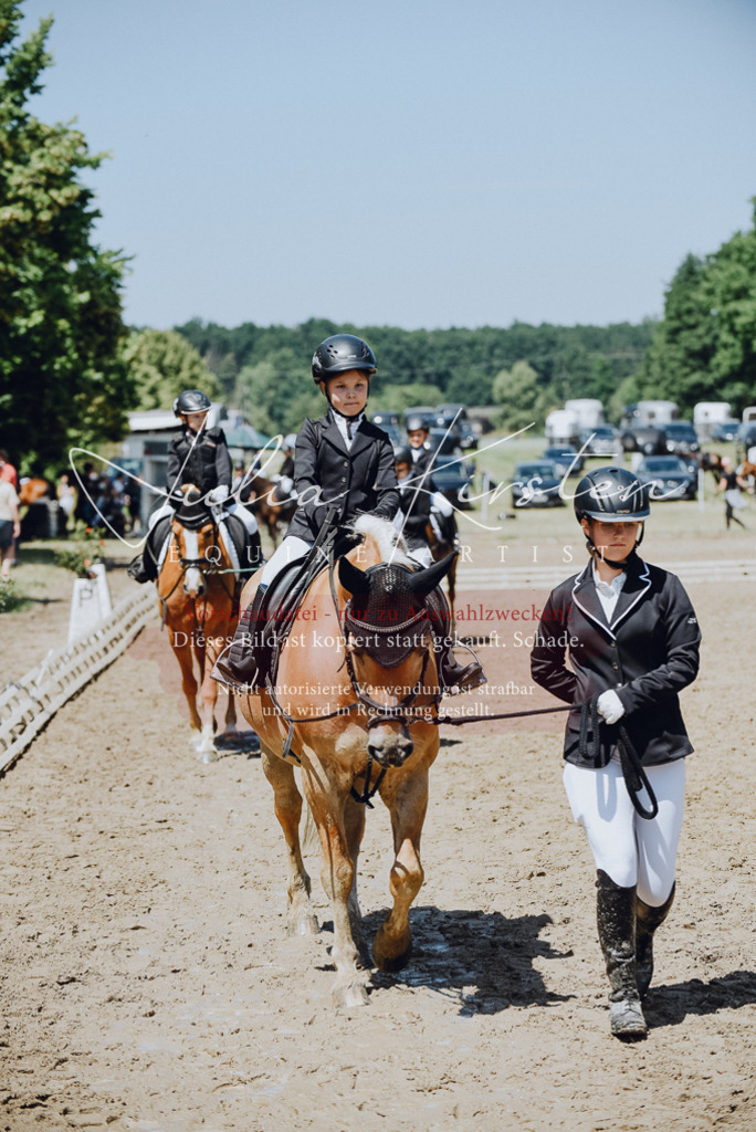 DSC_2427 | Pferde- und Turnierfotografie in Westsachsen. Pferdeportraits, Auftragszeichnungen und intuitive Kunst.