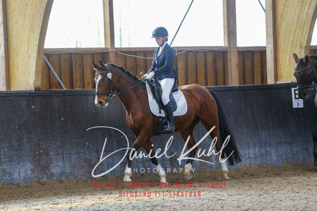 IMG_0945 | Turniersportfotografie; Pferdefotografie; Dressurfotografie