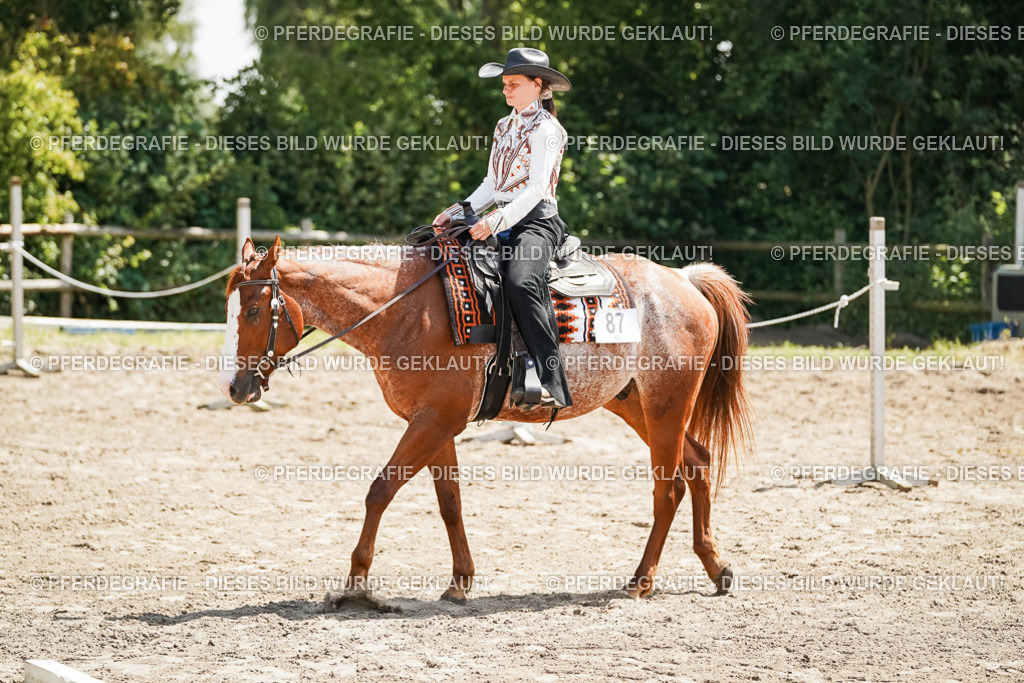 DSC07699 | Pferdegrafie