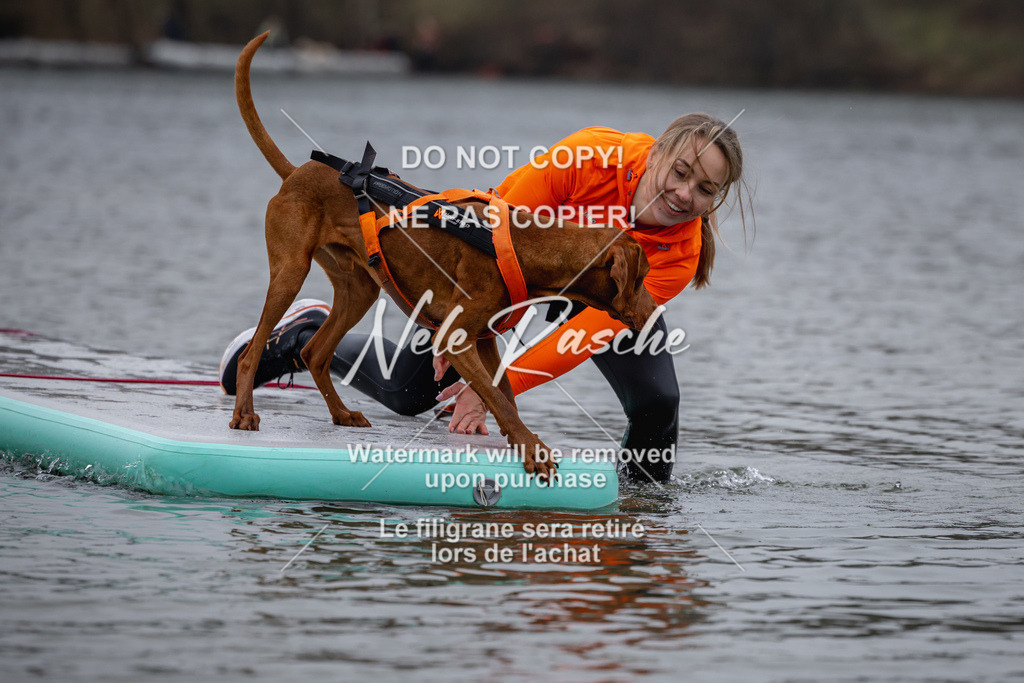 nelerasche_Hulsbeek_Sa1600-1700_12 | nelerasche