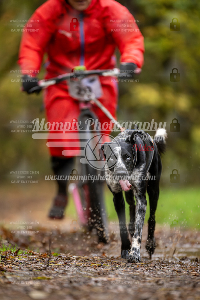 MompixPhotography_Bischwiller23_DS1-14 | PayLife