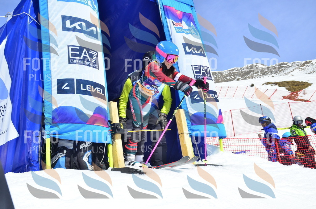 _ELE1000 | holidayphoto