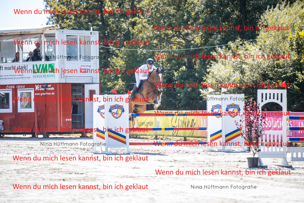 BK1A6231 | Turnierbilder Turnierfotos Nina Hüffmann Turnierfotografie Pferdefotografie Tierzeichnung Haustierzeichnung Pferdezeichnung Hundezeichnung Videograf  - Realisiert mit Pictrs.com
